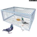 鳩罠 脱出防止設計 一方通行の入り