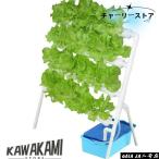  гидропонная культура комплект .... культивирование комплект овощи культивирование комплект салон клубника огород гидропонная культура комплект посадочная машина 36 дыра 