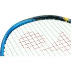 ** почтовая доставка отправка < Yonex > YONEX энергия баланс 4 AC184 (201: прозрачный ) теннис (ac184-201-ynx1)