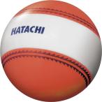 **< - tachi> HATACHI навигация мяч BH3851 (54) ground мяч для гольфа 