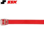 ** нестандартный отправка <es SK > SSK эмаль ремень YV250 (20)