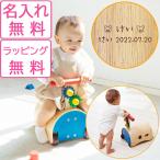 【レビュー特典あり】 【ラッピング無料】 手押し車 赤ちゃん 足けり 乗用玩具 カタカタ 乗り物 室内 のっておして!すくすくウォーカー エドインター 名入れ
