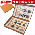 理科岩石標本 代表的な火成岩とそのつくり6種組 鉱物 鉱石 標本 コレクション 自由研究 観察 発掘 夏休み 冬休み 小学生 実験