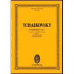  музыкальное сопровождение P.I. коричневый ikof лыжи | симфония no. 2 номер - короткий style Op.17 [ маленький Россия ]( старт ti* оценка | импорт музыкальное сопровождение (T))