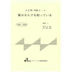  музыкальное сопровождение MSP-3003 звезда. .. тоже .....( Taisho koto * один .. деталь / начинающий )