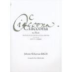  музыкальное сопровождение Ciaccona for Flute( автомобиль темно синий n нет .. флейта .. аранжировка версия )