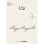  музыкальное сопровождение MSP-3065 весна .../ весна . пришел ( Taisho koto * один .. деталь / начинающий )