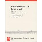  музыкальное сопровождение J.S.ba - | флейта * sonata ho короткий style BWV1034(ZM29440| флейта . гитара | импорт музыкальное сопровождение (T))