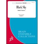 музыкальное сопровождение Tamura . flat /Black Sky( ударные инструменты . -слойный .)(ENMS-84477/ исполнение час : примерно 5 минут /G4)