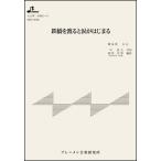  музыкальное сопровождение MSP-3098 металлический ..... слезы .. ...( Taisho koto * один .. деталь / средний класс )