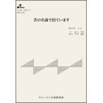  музыкальное сопровождение MSP-3108 старый имя . выходит - ( Taisho koto * один .. деталь | средний класс )