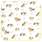 SKTC152-01 собака. san .* полотенце chief | Beagle ([851] размер : примерно длина 230× ширина 230mm| материалы : хлопок 100% марля & нет . нить | производство земля : сделано в Японии ( Izumi . полотенце ))