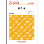  музыкальное сопровождение MAHR36 U.S.A./DA PUMP( валторна три слоя .)