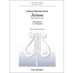  музыкальное сопровождение J.S.ba - | есть o-so([ can ta-ta no. 156 номер ]..)([110677]|W1855| флейта ( кроме того, гобой )& фортепьяно | импорт музыкальное сопровождение (T))