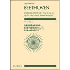  музыкальное сопровождение беж to-ven| струна приятный 4 -слойный . сборник no. 4 шт ( все звук карман * оценка )