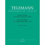  музыкальное сопровождение tere man /12. иллюзия . искривление TWV 40/14-25(.. версия )(GYS00000175/BA2972/ скрипка / импорт музыкальное сопровождение (Y))