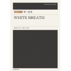  музыкальное сопровождение . три слоя ./WHITE BREATH(790416/ традиционные японские музыкальные инструменты деталь )