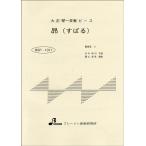 楽譜 【取寄品】【取寄時、納期1〜3週間】ＢＳＰ１０１１　大正琴一斉奏ピース　昴（すばる）