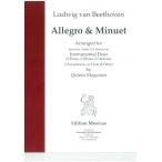  музыкальное сопровождение [ посылать за товар ]IEFL1634 импорт are Glo & minuet ( флейта 2 -слойный .)