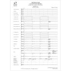  музыкальное сопровождение [ посылать за товар ][ посылать за час, срок поставки 1~2 неделя ] духовая музыка оценка . Tama. ..~ небо Akira. плата .. река . левый .. история ~< проигрыватель - The -z* cut * выпуск >[ кошка pohs. отправка 