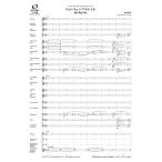  музыкальное сопровождение [ посылать за товар ][ посылать за час, срок поставки 1~2 неделя ] духовая музыка оценка John * Mu a* Trail [ кошка pohs. бесплатная доставка ]