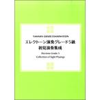  electone исполнение комплектация 5 класс первый видеть исполнение сборник .