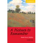 【取寄時、納期1〜3週間】CAMBRIDGE ENGLISH READERS LEVEL 2 A PICTURE TO REMEMBER