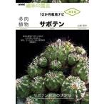【取寄品】【取寄時、納期１〜2週間】多肉植物　サボテン