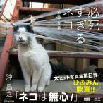 【取寄品】【取寄時、納期2〜3週間】必死すぎるネコ〜前後不覚篇〜