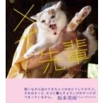 [ посылать за товар ][ посылать за час, срок поставки 2~3 неделя ]mei..[ кошка pohs. бесплатная доставка ]