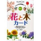 花と木カード