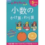 くもんの にがてたいじドリル 算数(6) 小学5年生 小数のかけ算・わり算