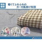 A ちょっと訳あり 肌掛け布団 シングル キルトケット ガーゼケット 肌ふとん 肌布団 夏掛け布団 夏布団