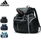 大型サブリュック