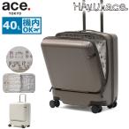  максимальный 50%*9/27 ограничение стандартный товар 10 год гарантия Ace to-kyo- чемодан машина внутри принесенный ace.TOKYO стопор имеется TSA 40L 3.4 день HAyU×ace. HAyUse dam 09081