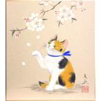 中谷文魚 「 桜に子猫 」( 三毛猫 )  色紙絵　　　　絵画 日本画 春の色紙 春の花 さくら サクラ  ピンク ねこ ネコ かわいい 動物