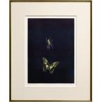 加山又造 「 蝶 」 メゾチント アクアチント ビュラン 銅版画　　　　版画 銅版画 日本画 絵画 蜘蛛 クモ ちょう昆虫 シック 繊細 縦 送料無料