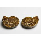  Anne mo Night pe Amada ga Skull производство 