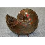 ����̾�ʡ��礭�������饤��