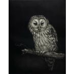 生田宏司「夢想夜」銅版画　メゾチント　額装　サインあり　ふくろう　梟