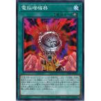 電脳増幅器 Normal DP24-JP043