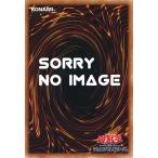 嵐征竜-テンペスト Ultra QCAC-JP080