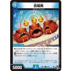 合唱魚 C水 22RP1 56/74