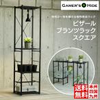 ビザールプランツラック 植物ラック 植物棚 植物育成ライト 植物用サーキュレーター 多肉棚 フラワースタンド プランタースタンド  LPR-350-BK ビビラボ