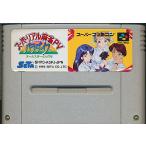 SFC スーパーリアル麻雀P5パラダイス （ソフトのみ） スーパーファミコン スーファミ