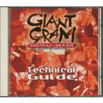 【DC】GIANT GRAM ジャイアントグラム 全日本プロレス2 IN 日本武道館【中古】 ドリームキャスト ドリキャス