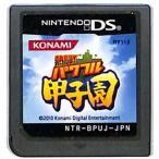 熱闘！パワフル甲子園/ニンテンドーDS
