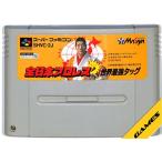 SFC 全日本プロレスダッシュ 世界最強タッグ スーパーファミコン スーファミ