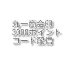 丸一商会印3000ポイント　コード配信　土日対応