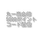 丸一商会印5000ポイント　コード配信　土日対応